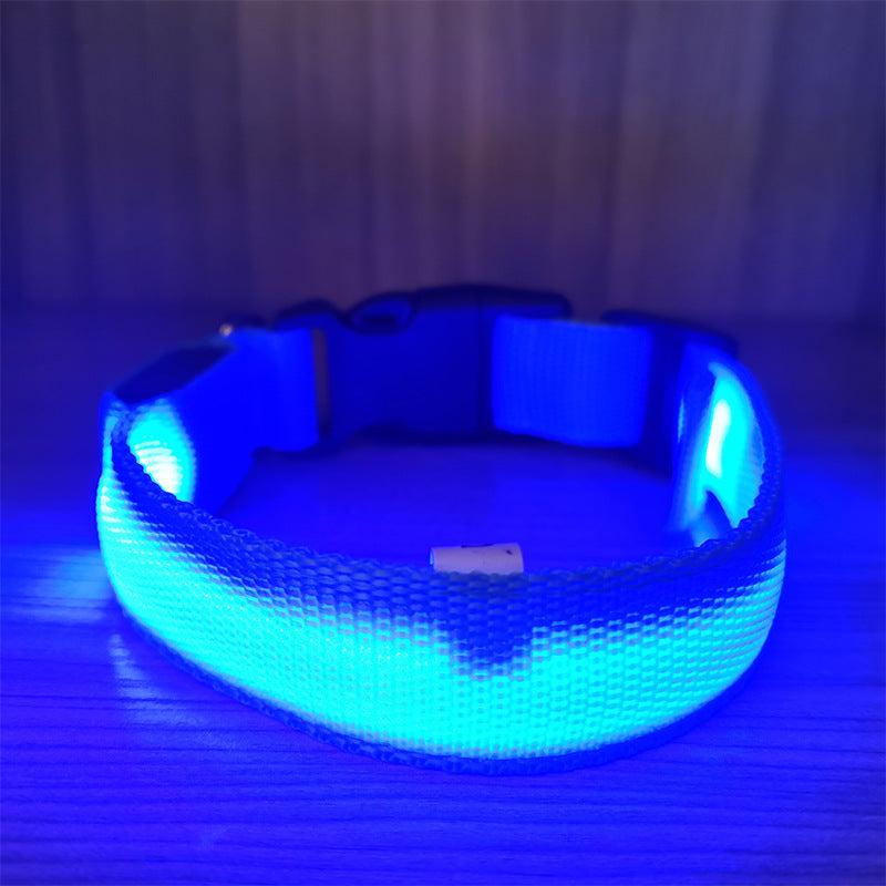 Collar LED Recargable USB para Perros y Gatos — Visibilidad Nocturna