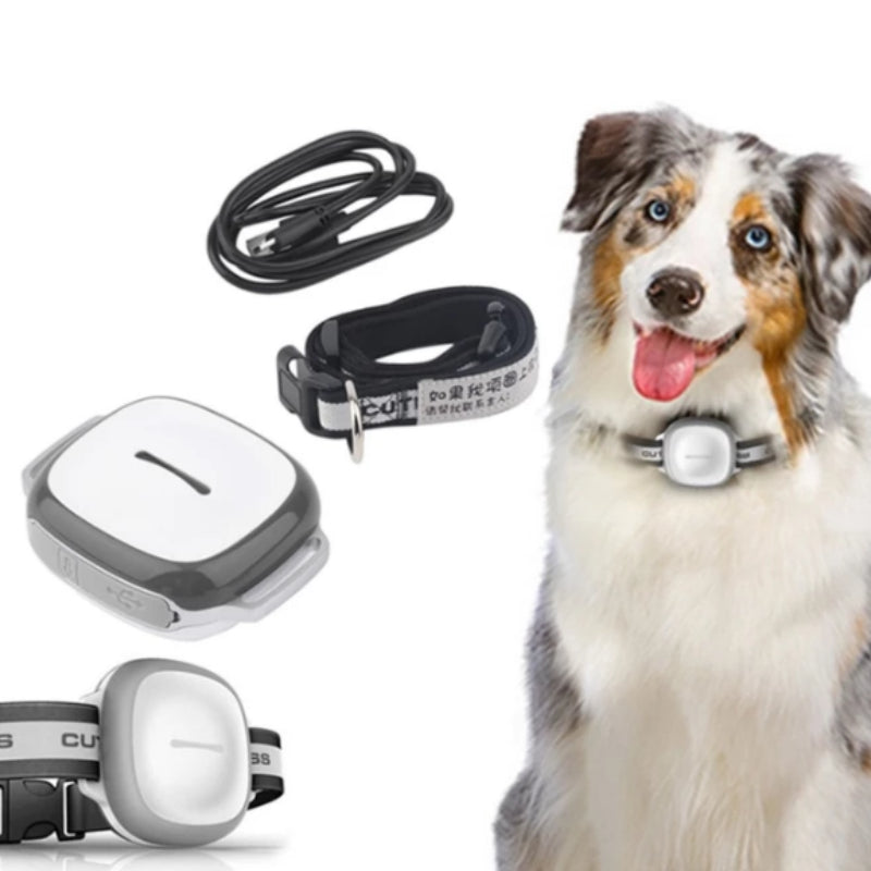 Localizador GPS para Perros y Gatos — Precisión de 5 metros y Cerca Virtual
