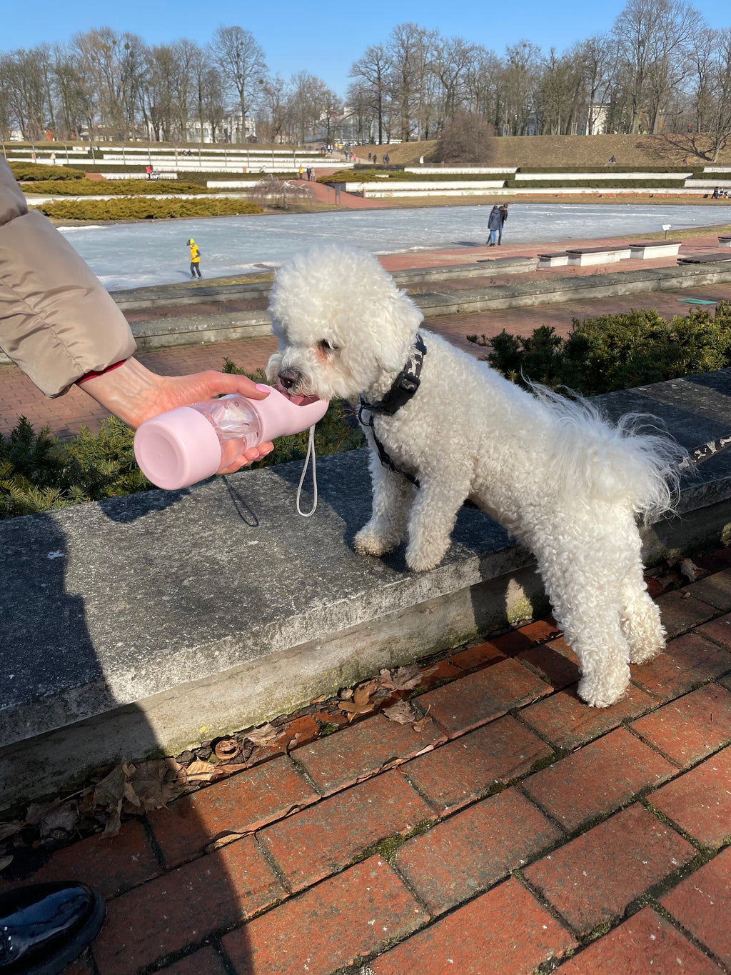 Botella Portátil de Agua y Comida para Mascotas