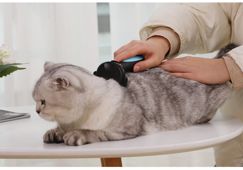 Set de Cepillo y Peine Deslanador para Gatos