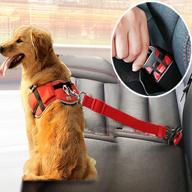 Cinturón de Seguridad Ajustable para Mascotas en el Auto