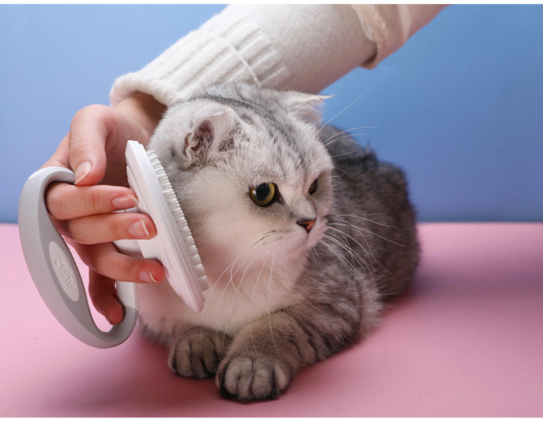 Set de Cepillo y Peine Deslanador para Gatos