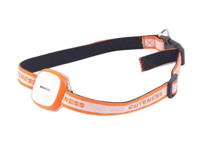 Localizador GPS para Perros y Gatos — Precisión de 5 metros y Cerca Virtual