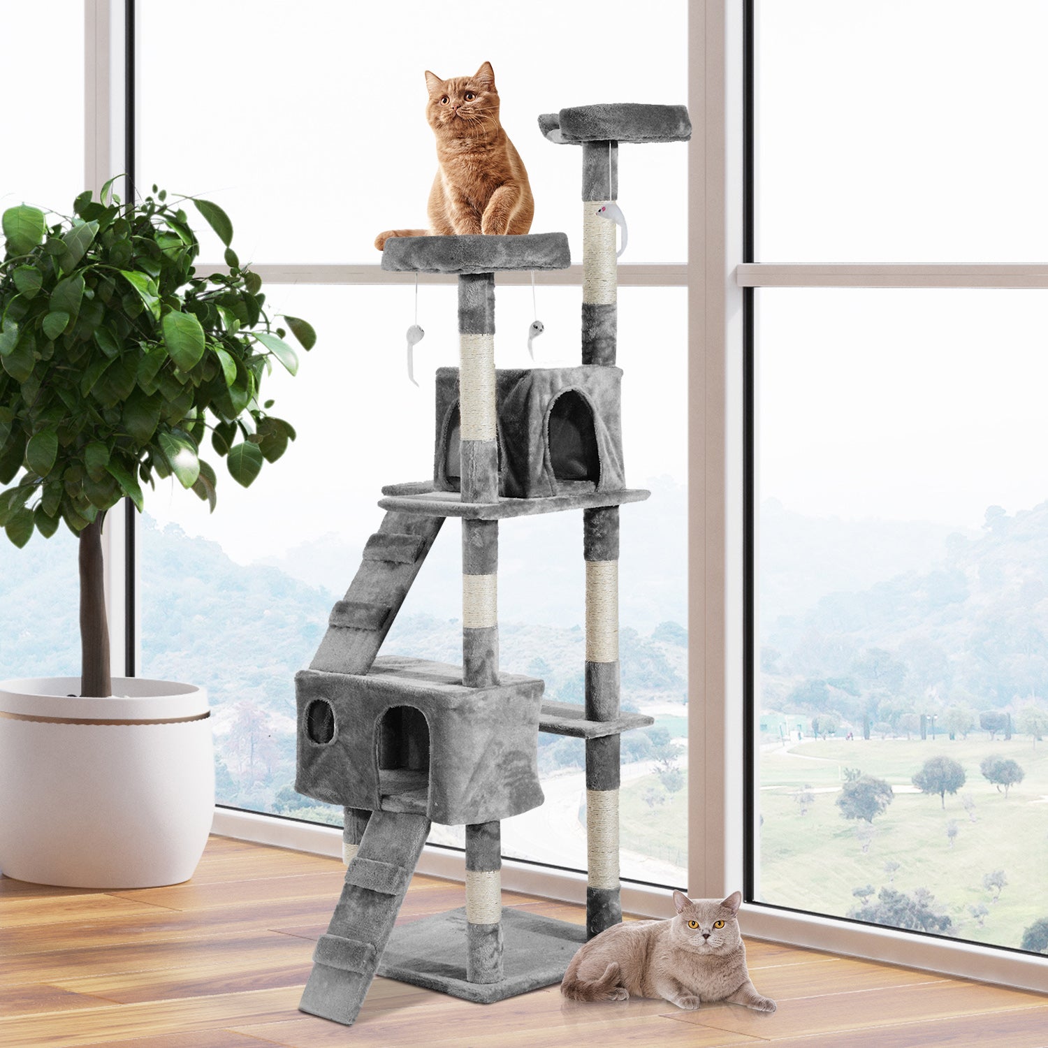 Rascador Torre para Gatos — Centro de Actividades Multinivel
