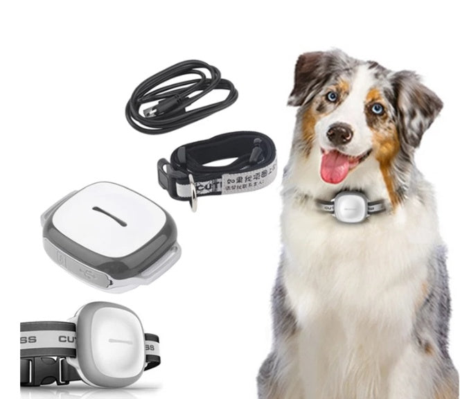 Localizador GPS para Perros y Gatos — Precisión de 5 metros y Cerca Virtual