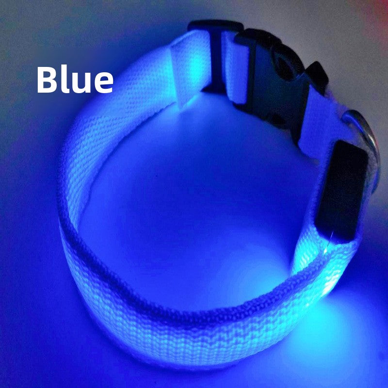 Collar LED Recargable USB para Perros y Gatos — Visibilidad Nocturna