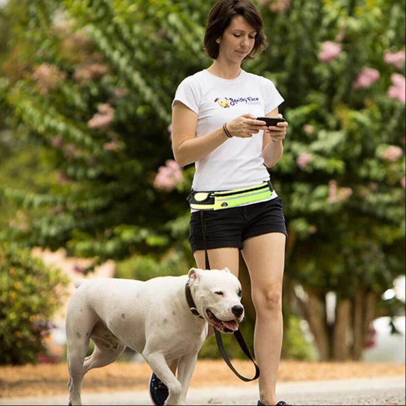 Correa Manos Libres para Perros — Cinturón de Paseo y Entrenamiento