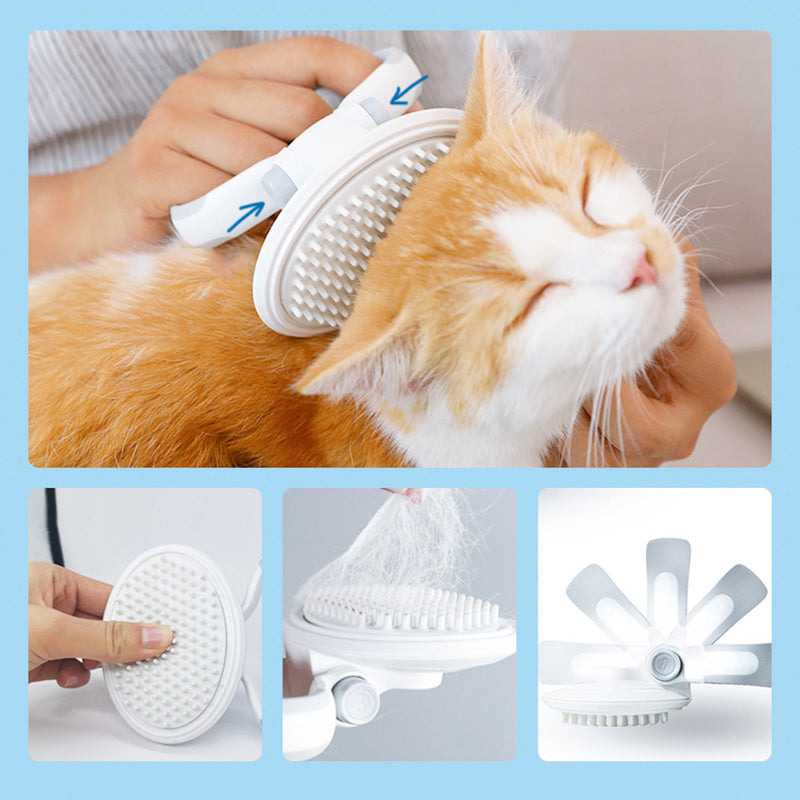 Set de Cepillo y Peine Deslanador para Gatos