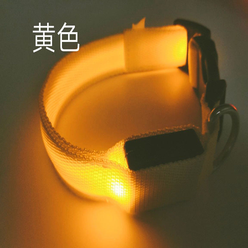 Collar LED Recargable USB para Perros y Gatos — Visibilidad Nocturna