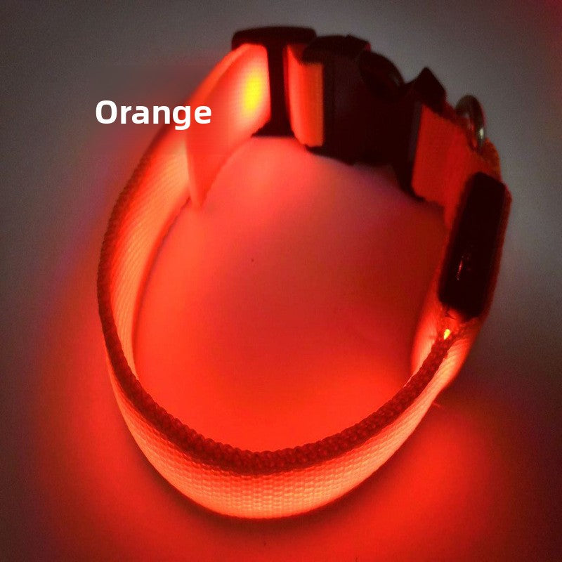 Collar LED Recargable USB para Perros y Gatos — Visibilidad Nocturna