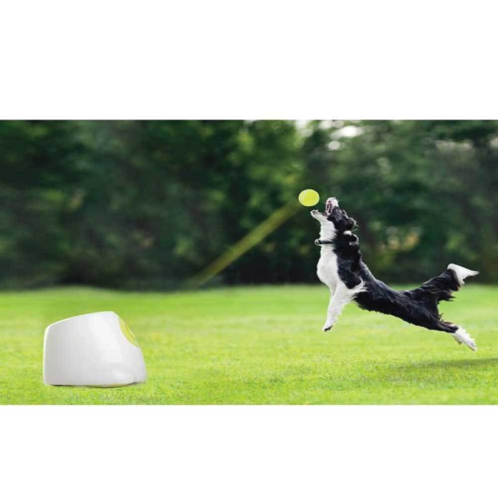 Lanzador Automático de Pelotas para Perros — Juguete Interactivo
