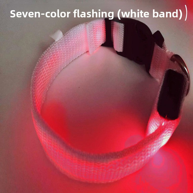 Collar LED Recargable USB para Perros y Gatos — Visibilidad Nocturna
