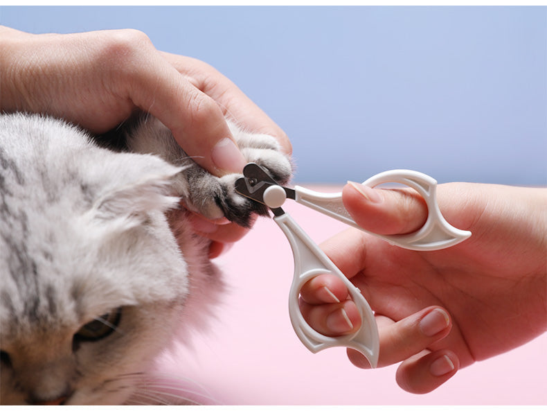 Set de Cepillo y Peine Deslanador para Gatos
