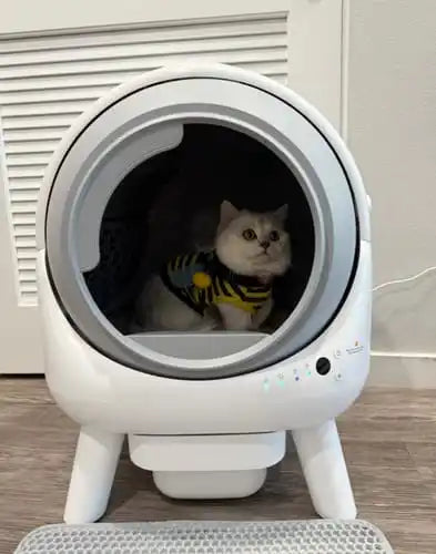 Toilet Cat Self-Cleaning Sandbox for Cats Spanish App 60l Automatic