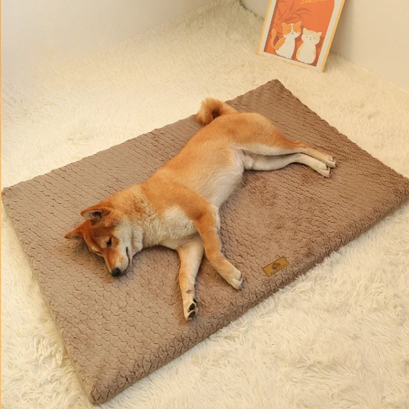Cama Ortopédica de Espuma con Funda Lavable para Mascotas