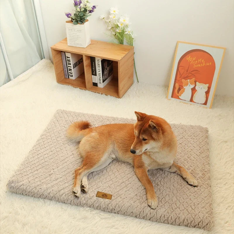 Cama Ortopédica de Espuma con Funda Lavable para Mascotas