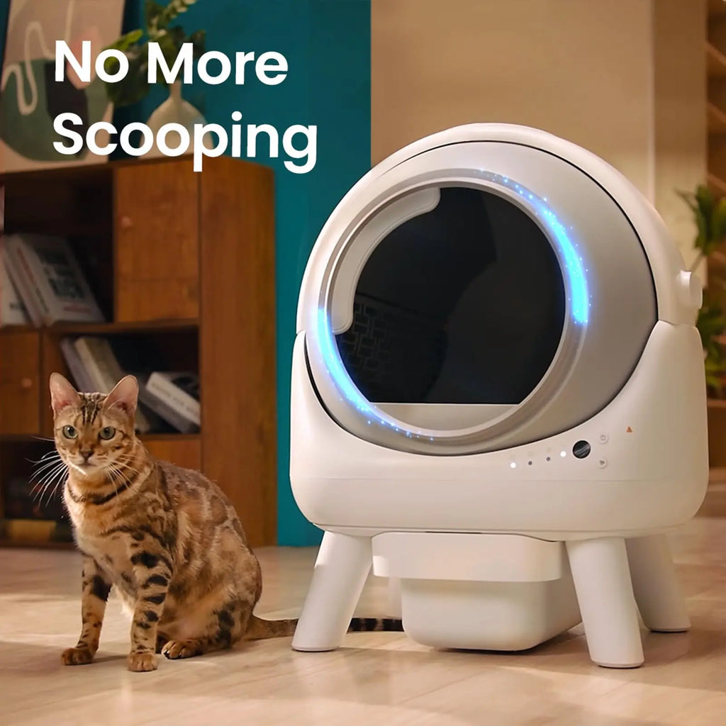 Toilet Cat Self-Cleaning Sandbox for Cats Spanish App 60l Automatic