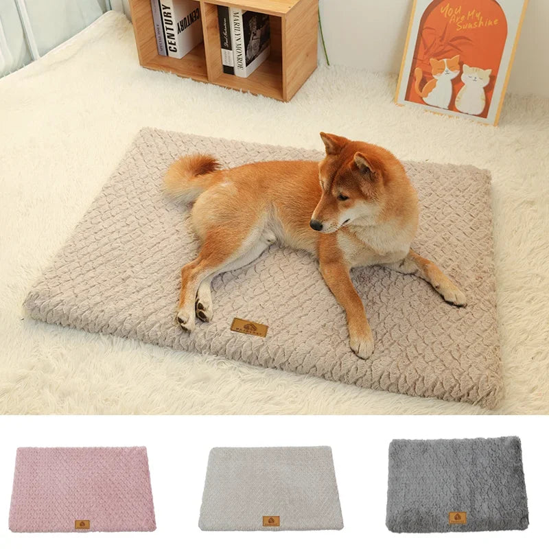 Cama Ortopédica de Espuma con Funda Lavable para Mascotas