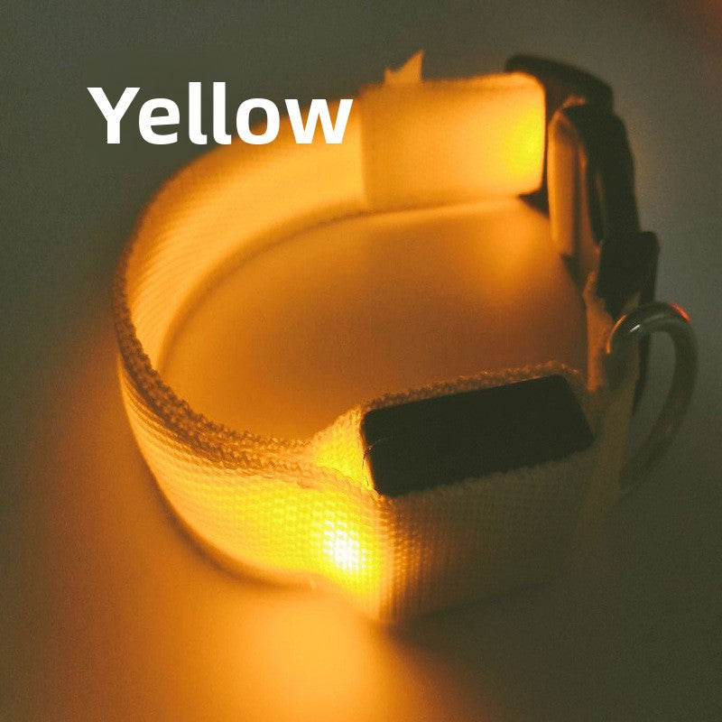 Collar LED Recargable USB para Perros y Gatos — Visibilidad Nocturna
