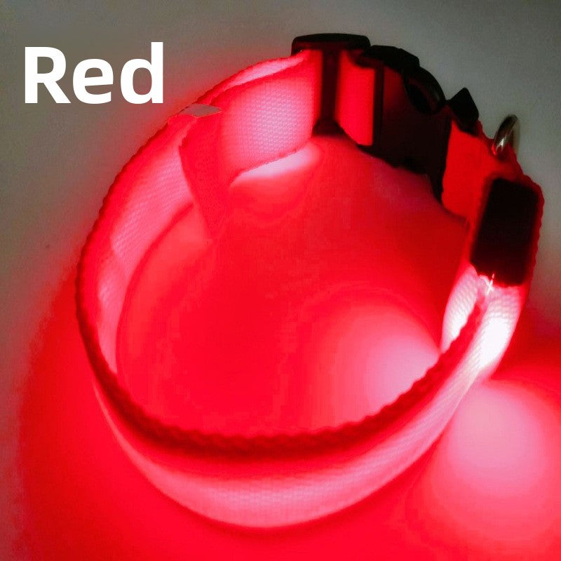 Collar LED Recargable USB para Perros y Gatos — Visibilidad Nocturna