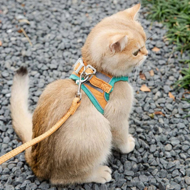 Arnés Ajustable para Gatos con Correa y Chaleco Reflectante
