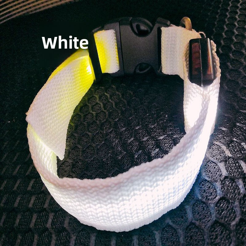Collar LED Recargable USB para Perros y Gatos — Visibilidad Nocturna