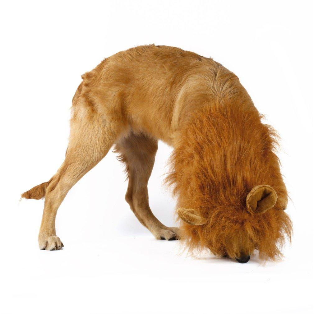 Peluca de León para Perros — Disfraz Divertido