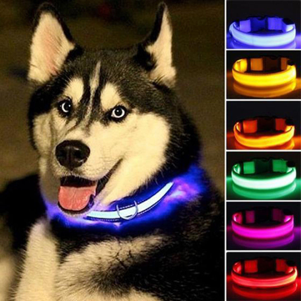 Set de 2 Collares LED de Nylon para Perros