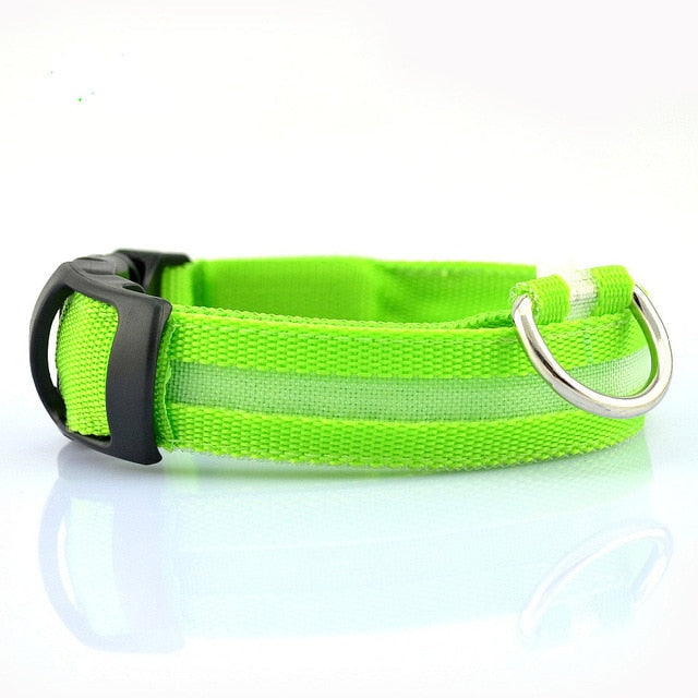 Set de 2 Collares LED de Nylon para Perros