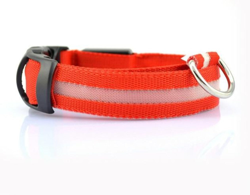 Set de 2 Collares LED de Nylon para Perros