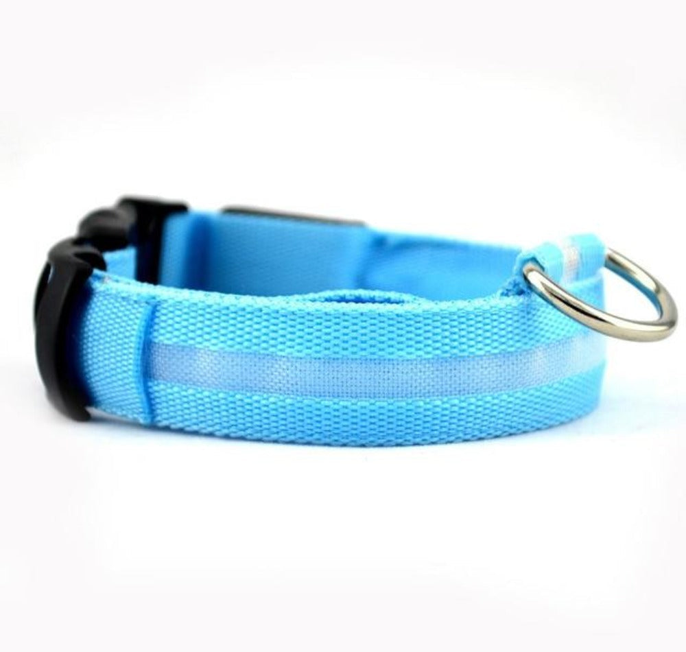 Set de 2 Collares LED de Nylon para Perros
