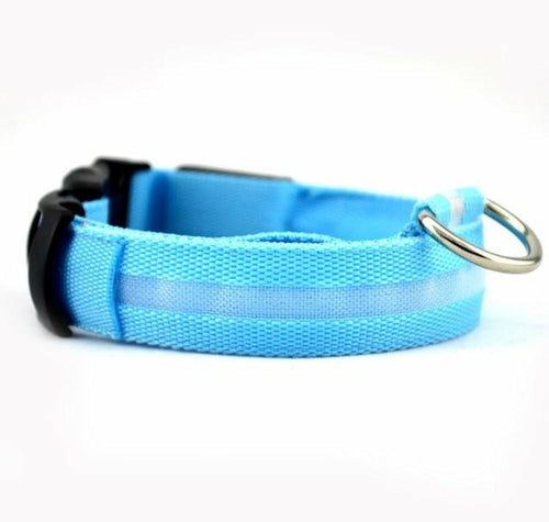 Set de 2 Collares LED de Nylon para Perros