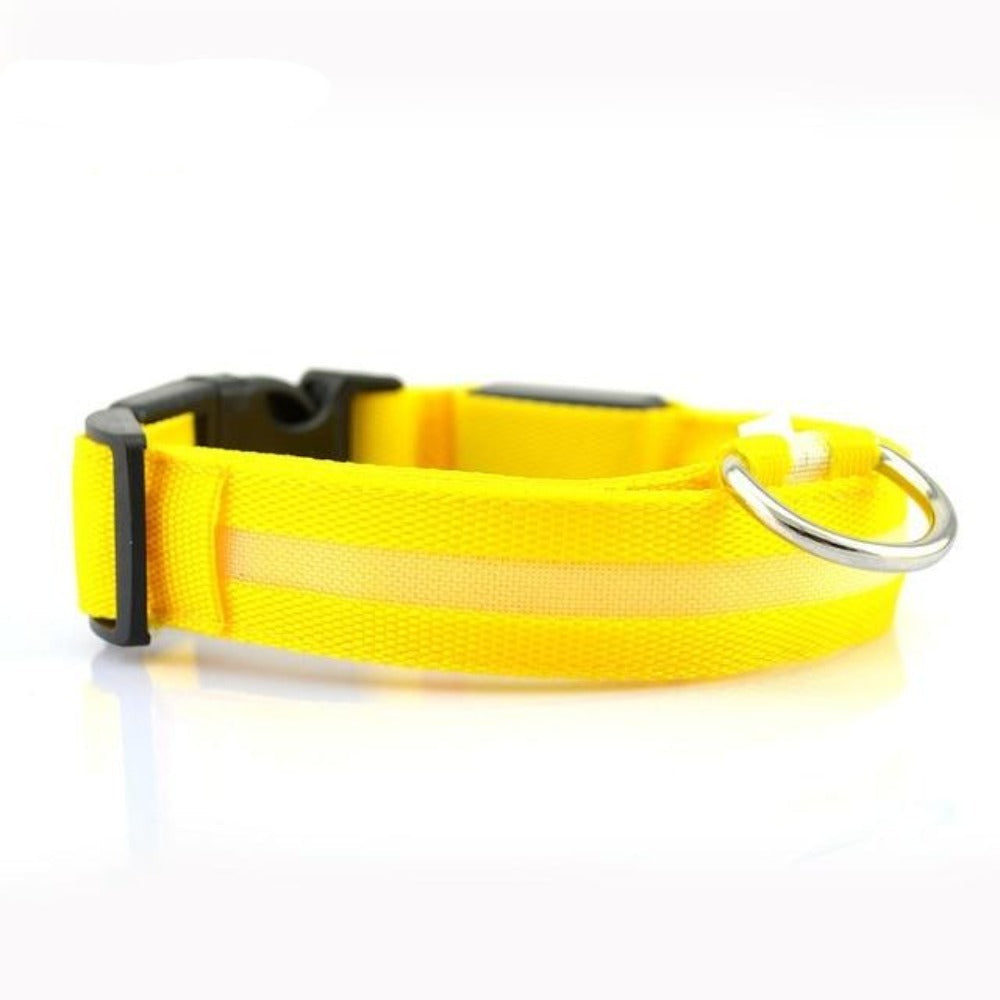 Set de 2 Collares LED de Nylon para Perros