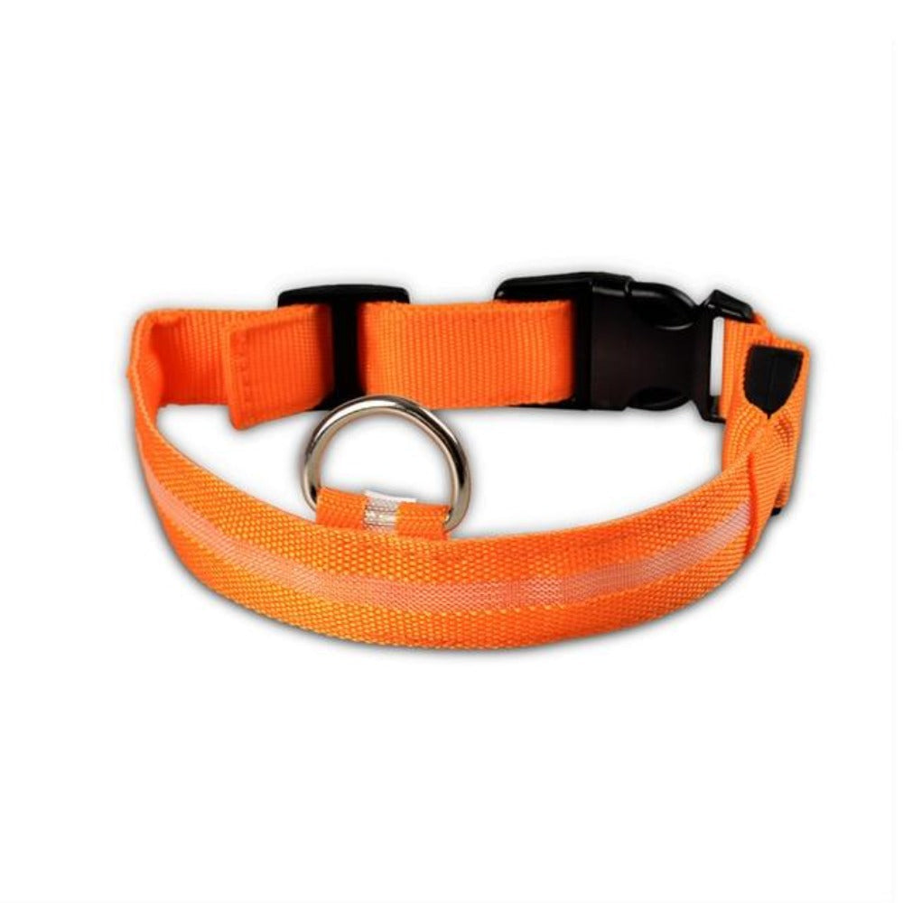 Set de 2 Collares LED de Nylon para Perros