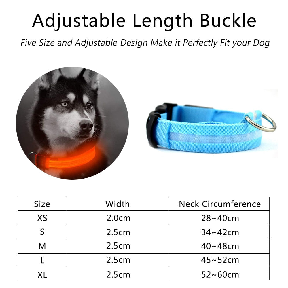 Set de 2 Collares LED de Nylon para Perros